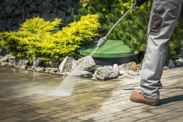 Boat and Dock Cleaning in Zolfo Springs, FL