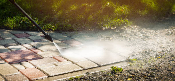 Best Driveway Pressure Washing  in Zolfo Springs, FL
