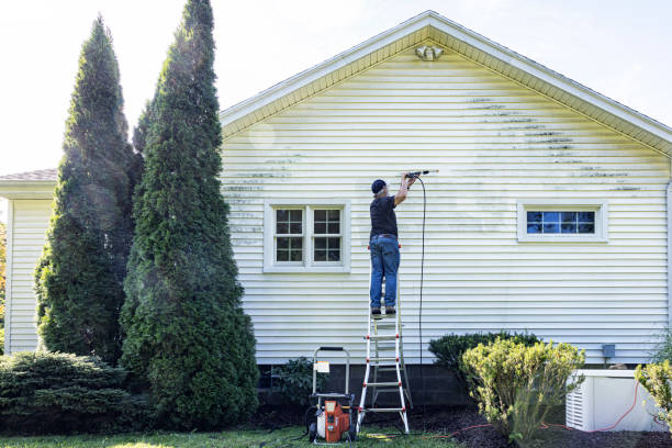 Best Gutter Cleaning  in Zolfo Springs, FL